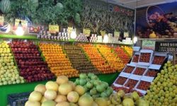 عرضه میوه شب عید از ۲۷ اسفند در رفسنجان