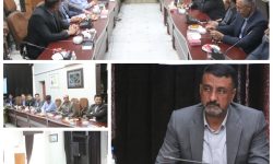 تنظیم بازار ؛ مرغ منجمد و میوه تنظیم بازار در رفسنجان در حال توزیع است