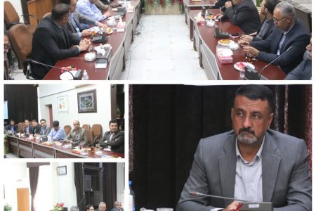 تنظیم بازار ؛  مرغ منجمد و میوه تنظیم بازار در رفسنجان در حال توزیع است 