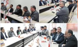 تشکیل کمیته مشترک سرمایه گذاری میان منطقه ویژه اقتصادی رفسنجان و هلدینگ شرکت سرمایهگذاری افق مس